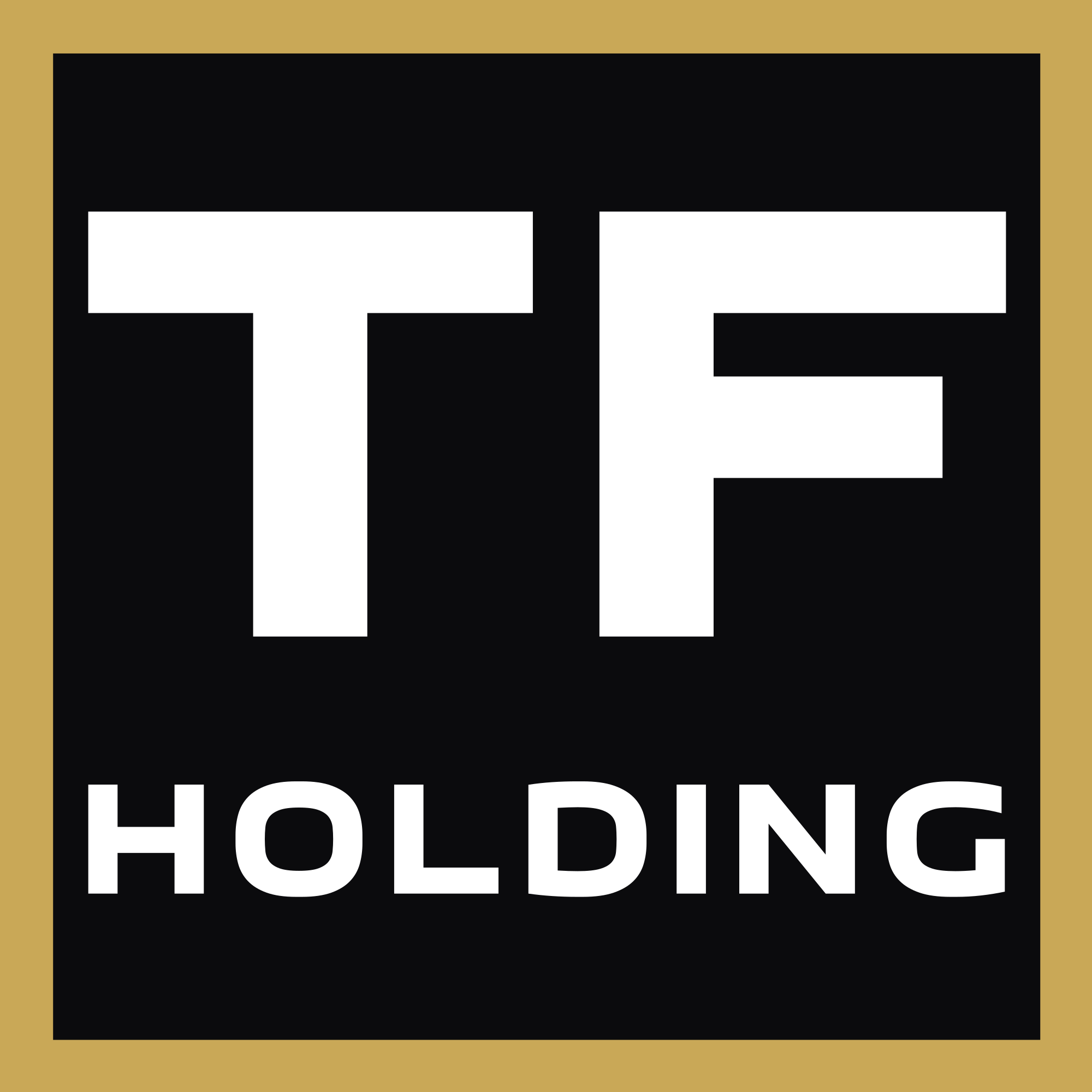 TF HOLDING S.R.L.